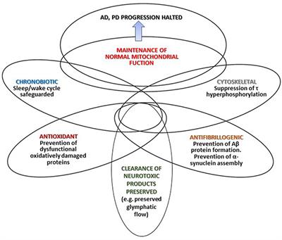 Melatonin: Clinical Perspectives in Neurodegeneration